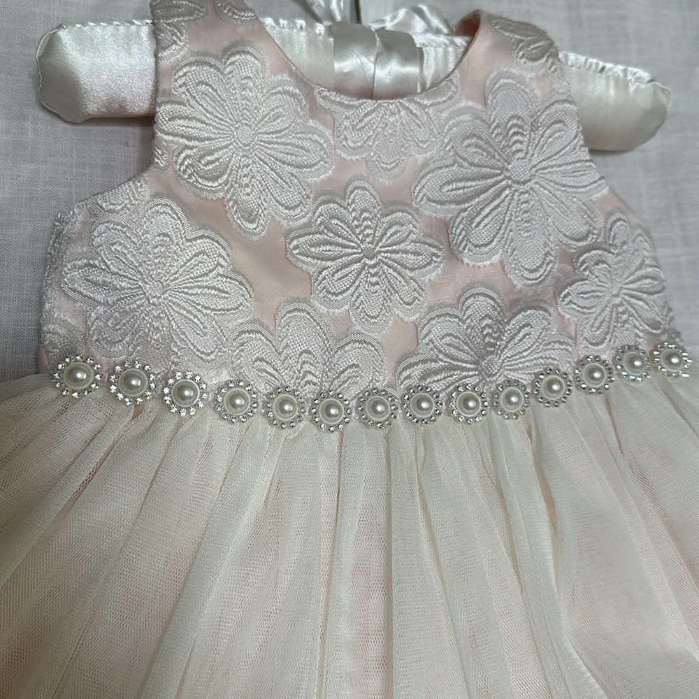 American Princess 12M - Picture 3 of 7